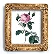 Rosier Mousseux - Gold Frame Magnet with pop-out easel (2-3/4" x 2-1/2")
