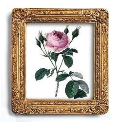 Rosier Mousseux - Gold Frame Magnet with pop-out easel (2-3/4" x 2-1/2")