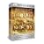 Ancient Rome [DVD]