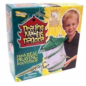Insect Lore Praying Mantis Pagoda Kit