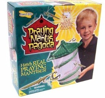 Insect Lore Praying Mantis Pagoda Kit Insect Lore Praying Mantis Pagoda Kit
