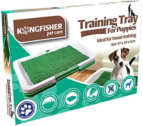 Puppy Training Litter Tray