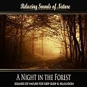 A Night in the Forest (Nature Sounds)