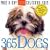 365 Dogs Page-a-Day Calendar 2009 (Colour Page a Day Calendars)