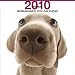 THE DOG ワイマラナー 2010年 カレンダー