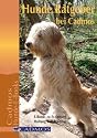 Hunde Ratgeber bei Cadmos: E-Books zu Erziehung, Haltung und Training