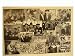 Search : The Three Stooges Poster Collage Larry Moe Curly 3