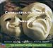 Mascagni: Cavalleria Rusticana/Leoncavallo: Pagliacci