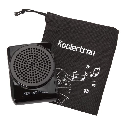 online microphone speaker