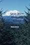 Snow Storm Marketing Course