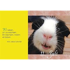 Weisheiten des Lebens - f�r Meerschweinchenfreunde