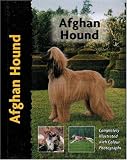 Afghan Hound (Pet love)