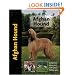Afghan Hound (Pet love)