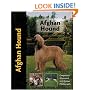 Afghan Hound (Pet love)