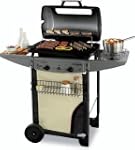 Barbecue a gas con pietra lavica con...