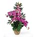 Orchid/Purple Double Phal/Dendrobium Silk Flower Arrangement