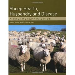 Sheep Health Husbandry & Disease by Agnes C. Winter