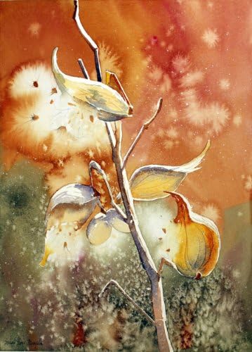 Milk Weeds in Brown and Green, Giclee Print of Watercolor, Nature Picture of Fall Plants, 10 X 13 Inches