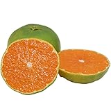 熊本県 植木産 グリーンハウス みかん 2kg ( 20~30玉入り )