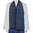 Designer Printed Silk Scarf Fashion Accessory 22 X 72 Inches