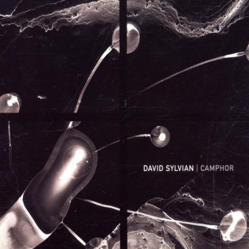 David Sylvian Photo 6
