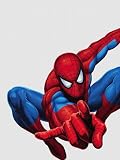 Wallpaper Fathead Fathead Entertainment Spider Man Hero 9696004