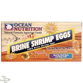 Ocean Nutrition GSL Brine Shrimp Eggs 50g Box by Ocean Nutrition