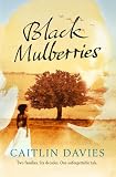 Black Mulberries