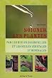 Soigner les plantes par les huiles essentielles et les huiles v�g�tales et min�rales