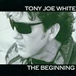 Beginning Beginning