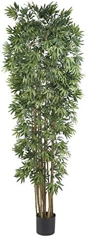 Bamboo Japanica Silk Tree 7' Natural