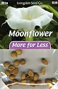 Livingston Seed Co. P6460 Plus Pack - Moonflower Seed Packet
