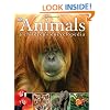 Animals A Children's Encyclopedia (Visual Encyclopedia)