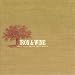 The Creek Drank the Cradle [Vinyl LP]