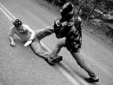 Close Combat