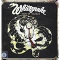 Box 'O' Snakes: The Sunburst Years 1978-1982