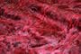 Favorite Pet Products Tiger Dreamz Luxury Bed 39 by 30, Red Leopard