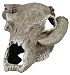 Exotic Environments Steer Skull, Aquarium Ornament, Small, 4-1/2-Inch by 4-Inch by 2-1/2-Inch