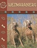 Weimaraners (Eye to Eye With Dogs)