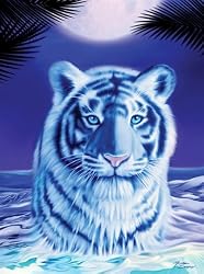 FX Schmid Moonlight Shimmer Glow-in-the-Dark Puzzle, 1000 Pc