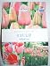 De Ree Lifestyle Collection 8 Tulip Menton Bulbs