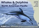 Whales and Dolphins of the North American Pacific