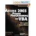 Access 2003 Power Programming with VBA