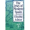 The Jews of Moslem Spain, Volume 1