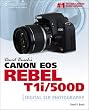 David Busch’s Canon EOS Rebel T1i/500D Guide to Digital SLR Photography (First Edition)