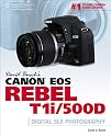 David Busch’s Canon EOS Rebel T1i/500D Guide to Digital SLR Photography (First Edition)