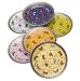 Yedi Butterfly Dessert Plates- Set of 6