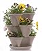 Stack and Grow Self-Watering Strawberry Planter, Stone