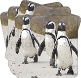 from Advanta Cute Penguins on Beach Birthday Gifts Set of 4 Leather Coasters