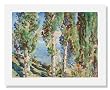 John Singer Sargent, Corfu: Cypresses